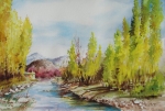 Lehi Poplars